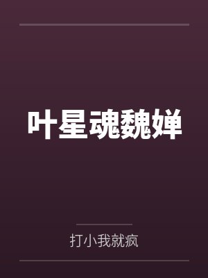 叶星魂魏婵笔趣阁无弹窗